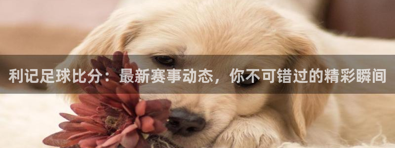 14场胜负澳客官网比分：利记足球比分：最新赛事动态，你不可错过的精彩瞬间
