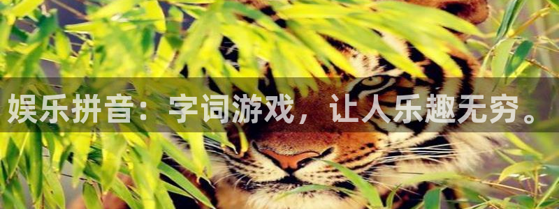 澳客篮球即时比分：娱乐拼音：字词游戏，让人乐趣无穷。