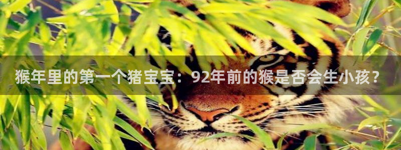 竞彩澳客官网：猴年里的第一个猪宝宝：92年前的猴是否会生小孩？
