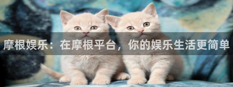 澳客手机版app下载：摩根娱乐：在摩根平台，你的娱乐生活更简单