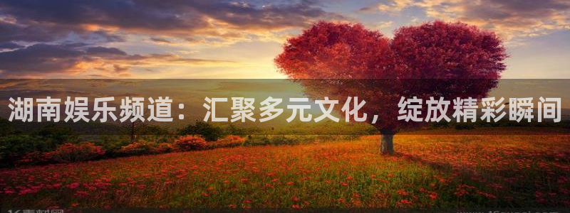 澳客网首页官网：湖南娱乐频道：汇聚多元文化，绽放精彩瞬间