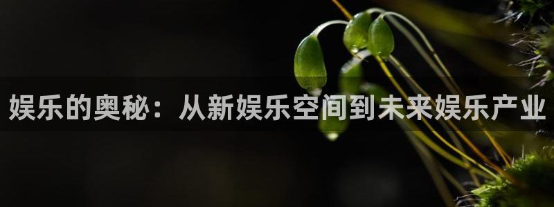 澳客网足球即时比分：娱乐的奥秘：从新娱乐空间到未来娱乐产业