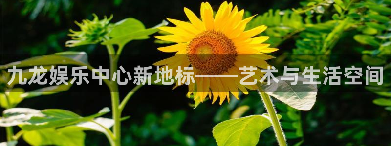 澳客足球网：九龙娱乐中心新地标——艺术与生活空间