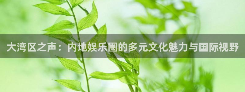 澳客足球开奖结果：大湾区之声：内地娱乐圈的多元文化魅力与国际视野