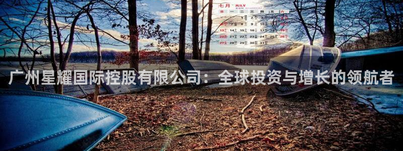 okoo澳客手机版官网：广州星耀国际控股有限公司：全球投资与增长的领航者