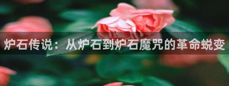 澳客计算器app免费下载：炉石传说：从炉石到炉石魔咒的革命蜕变