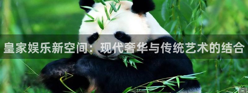下载澳客：皇家娱乐新空间：现代奢华与传统艺术的结合