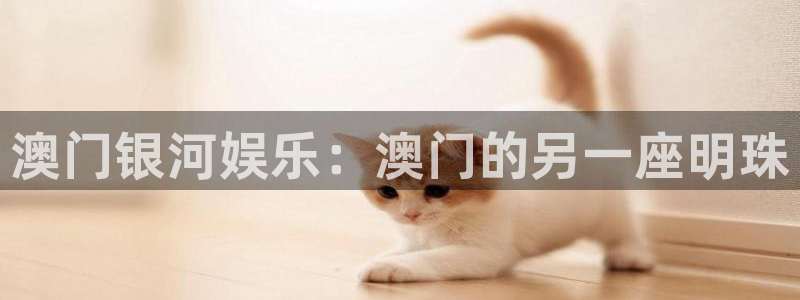 奥客网竞彩足球即时比分澳客网