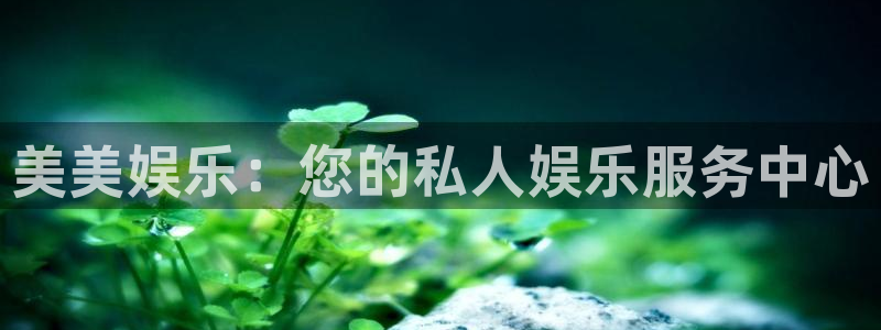 北单即时比分澳客