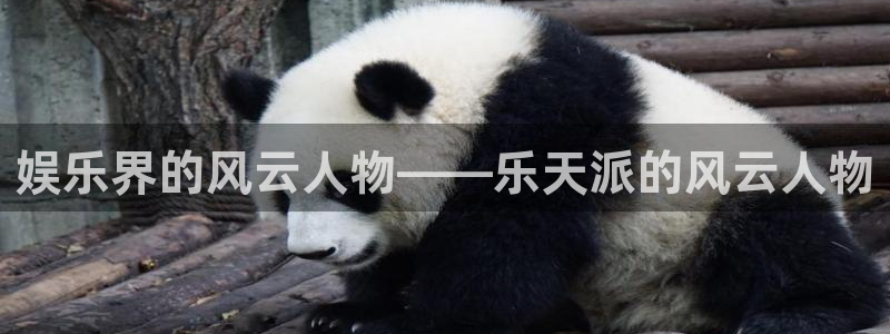 澳客开奖结果查询