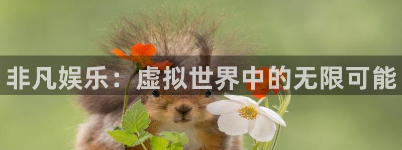 竞彩足球澳客比分结果