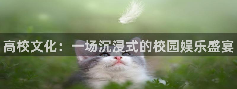 中国澳客官网