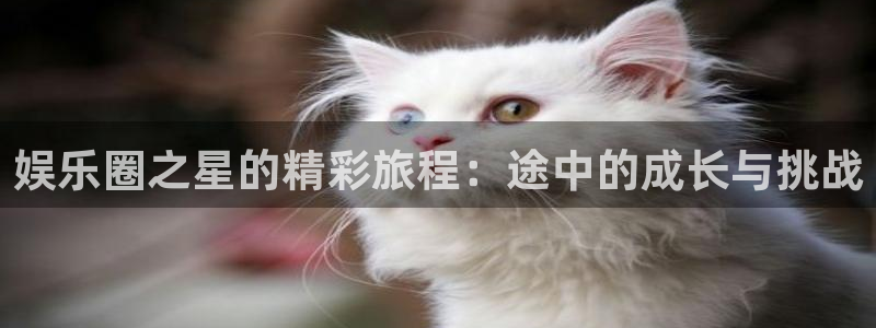 澳客官方竞彩网