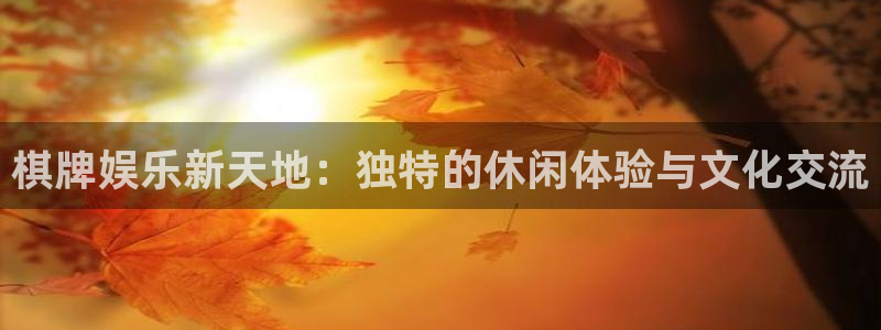 澳客旧版app下载：棋牌娱乐新天地：独特的休闲体验与文化交流
