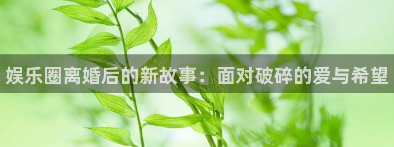 精彩澳客官网：娱乐圈离婚后的新故事：面对破碎的爱与希望